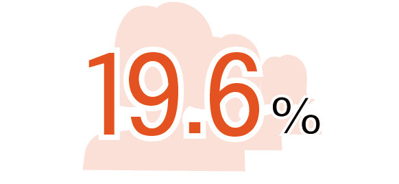 19.6%